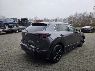 Mazda CX-30 137 kw Hybride / Automaat picture 7