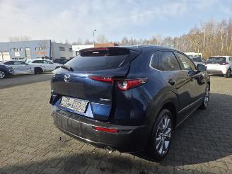 Mazda CX-30 137KW /HYBR / AUTOM /SHUIFDAK / LEER /HEAD UPP picture 11