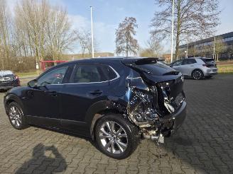 Mazda CX-30 137KW /HYBR / AUTOM /SHUIFDAK / LEER /HEAD UPP picture 3