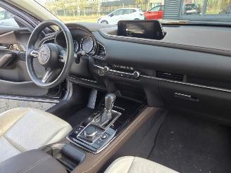 Mazda CX-30 137KW /HYBR / AUTOM /SHUIFDAK / LEER /HEAD UPP picture 15