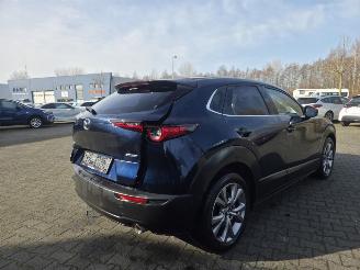 Mazda CX-30 137KW /HYBR / AUTOM /SHUIFDAK / LEER /HEAD UPP picture 10