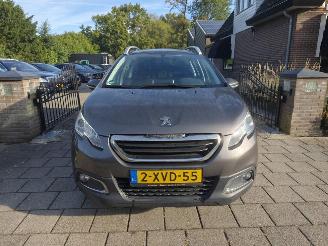 Peugeot 2008 1.2 PureTech Active picture 2