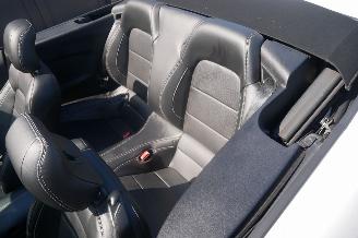Ford Mustang GT PERFORMANCE picture 13