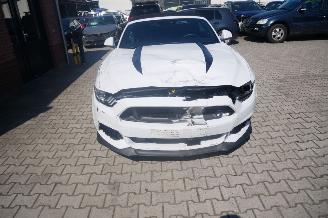 Ford Mustang GT PERFORMANCE picture 7