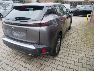Peugeot 2008 ACTIVE LED picture 3