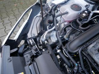 Skoda Kamiq MONTE CARLO PANORAMADAK LED picture 10