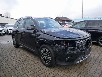 Mercedes EQB 250+ ADVANCED 7 PERSOONS. picture 2