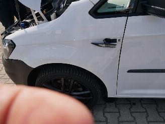 Volkswagen Caddy KOELTRANSPORT picture 22