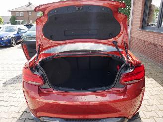 BMW M2 COMPETITION HARMAN KARDON picture 15