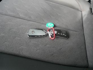 Cupra Terramar VZ HUD ALCANTARA ACC LED  PLUG-IN picture 18
