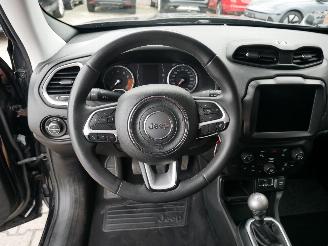 Jeep Renegade LONGITUDE picture 12