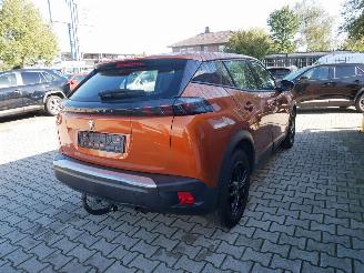 Peugeot 2008 ACTIVE  HAGELSCHADE picture 3