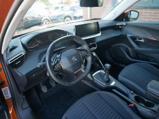 Peugeot 2008 ACTIVE  HAGELSCHADE picture 6
