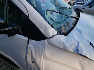 Opel Combo CARGO XL picture 8