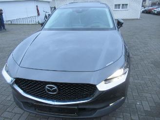 Mazda CX-30 2.0 E-SKYACTIV-X 186pk AWD Aut. MildHybrid  Bose-Sound Climatronic Leer Navi Schuifdak Stoel/Stuur-Verwarming picture 8