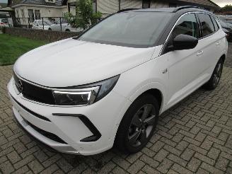 krockskadad bil auto Opel Grandland GrandLand X  1.2T 130pk AUT. Climatronic HalfLeer/Alcant Navi Camera Keyless-Go Stoel/Stuur-Verwarming 2024/5