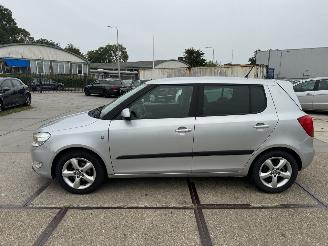 Skoda Fabia 1.2 TDI Greenline picture 22
