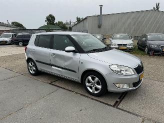 Skoda Fabia 1.2 TDI Greenline picture 2