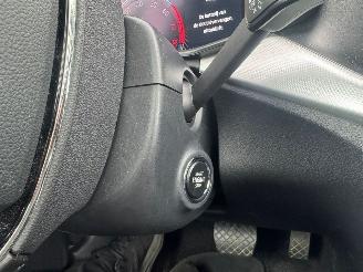 Skoda Kamiq Ambition Pano Automaat Stoelverwarming picture 20