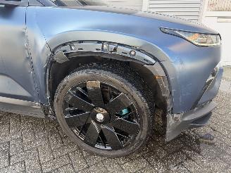 Fisker  Ocean Extreme picture 12