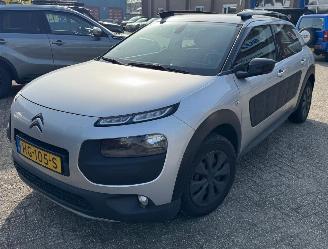 Citroën C4 cactus 1.6 Blue HDI Business picture 2