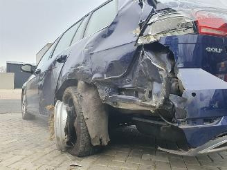 Volkswagen Golf Variant picture 8