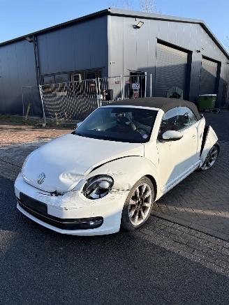Volkswagen Beetle Cabriolet picture 3