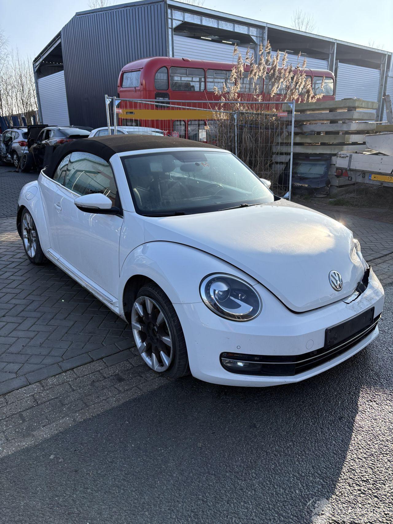 Volkswagen Beetle 