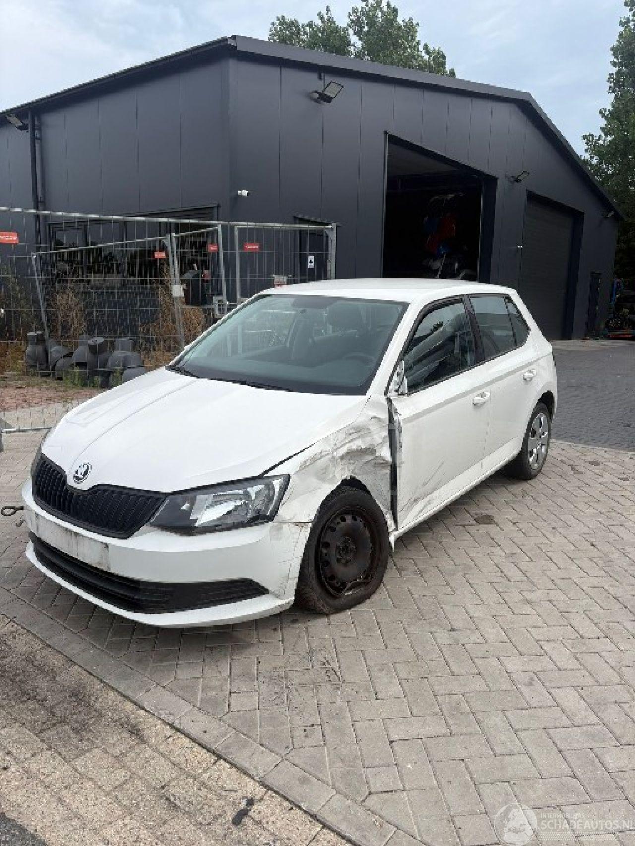 Skoda Fabia 1.2TSI 66KW