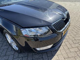 Skoda Octavia 1.6 TDI 77Kw Clima - NAVI picture 11