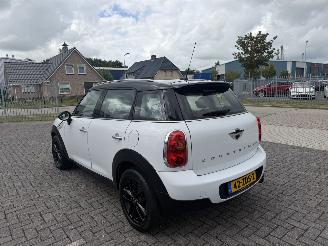 Mini Countryman 1.6 Cooper Edition Clima - Navi picture 8