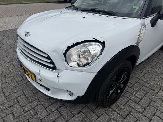 Mini Countryman 1.6 Cooper Edition Clima - Navi picture 9