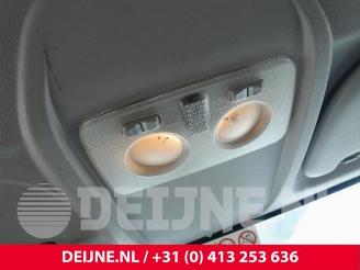 Fiat Doblo Doblo Cargo (263), Van, 2010 1.3 D Multijet picture 23