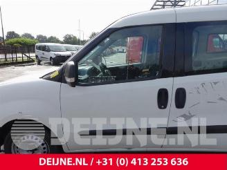 Fiat Doblo Doblo Cargo (263), Van, 2010 1.3 D Multijet picture 15