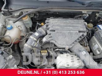 Fiat Doblo Doblo Cargo (263), Van, 2010 1.3 D Multijet picture 33