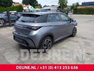 BYD Dolphin Dolphin, Hatchback 5-drs, 2021 60,4 kWh picture 7