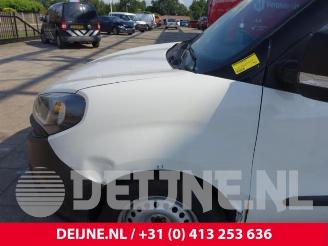 Fiat Doblo Doblo Cargo (263), Van, 2010 1.4 16V picture 9