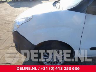 Opel Combo Combo, Van, 2012 / 2018 1.3 CDTI 16V picture 9