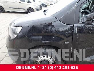 Opel Combo Combo Cargo, Van, 2018 1.5 CDTI 75 picture 9