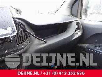 Fiat Doblo Doblo Cargo (263), Van, 2010 1.4 16V picture 23