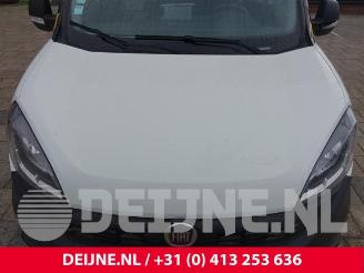 Fiat Doblo Doblo Cargo (263), Van, 2010 1.4 16V picture 34
