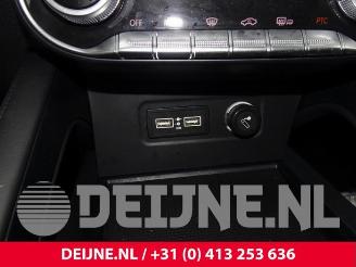 Seres 3 3, SUV, 2020 52kWh picture 26