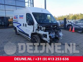 Sloopauto Fiat Ducato Ducato (250), Van, 2006 2.3 D 130 Multijet 2019/6