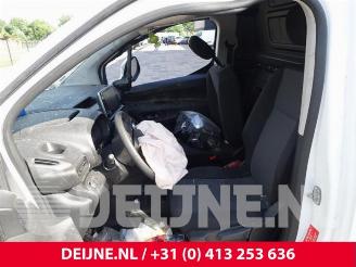 Opel Combo Combo Cargo, Van, 2018 1.5 CDTI 100 picture 19