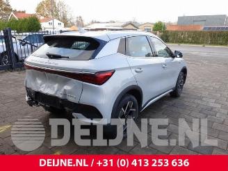 BYD Atto 3 Atto 3/Atto 3 Evo, SUV, 2022 FWD 60 kWh picture 7