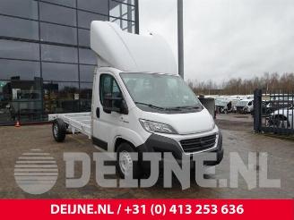 Salvage car Fiat Ducato Ducato (250), Ch.Cab/Pick-up, 2006 2.3 D 180 Multijet 2019/3