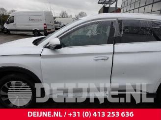 BYD Seal U Seal U, SUV, 2024 1.5 DM-I FWD picture 16