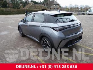 BYD Dolphin Dolphin, Hatchback 5-drs, 2021 60,4 kWh picture 5