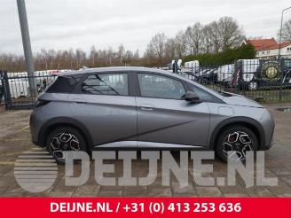 BYD Dolphin Dolphin, Hatchback 5-drs, 2021 60,4 kWh picture 8