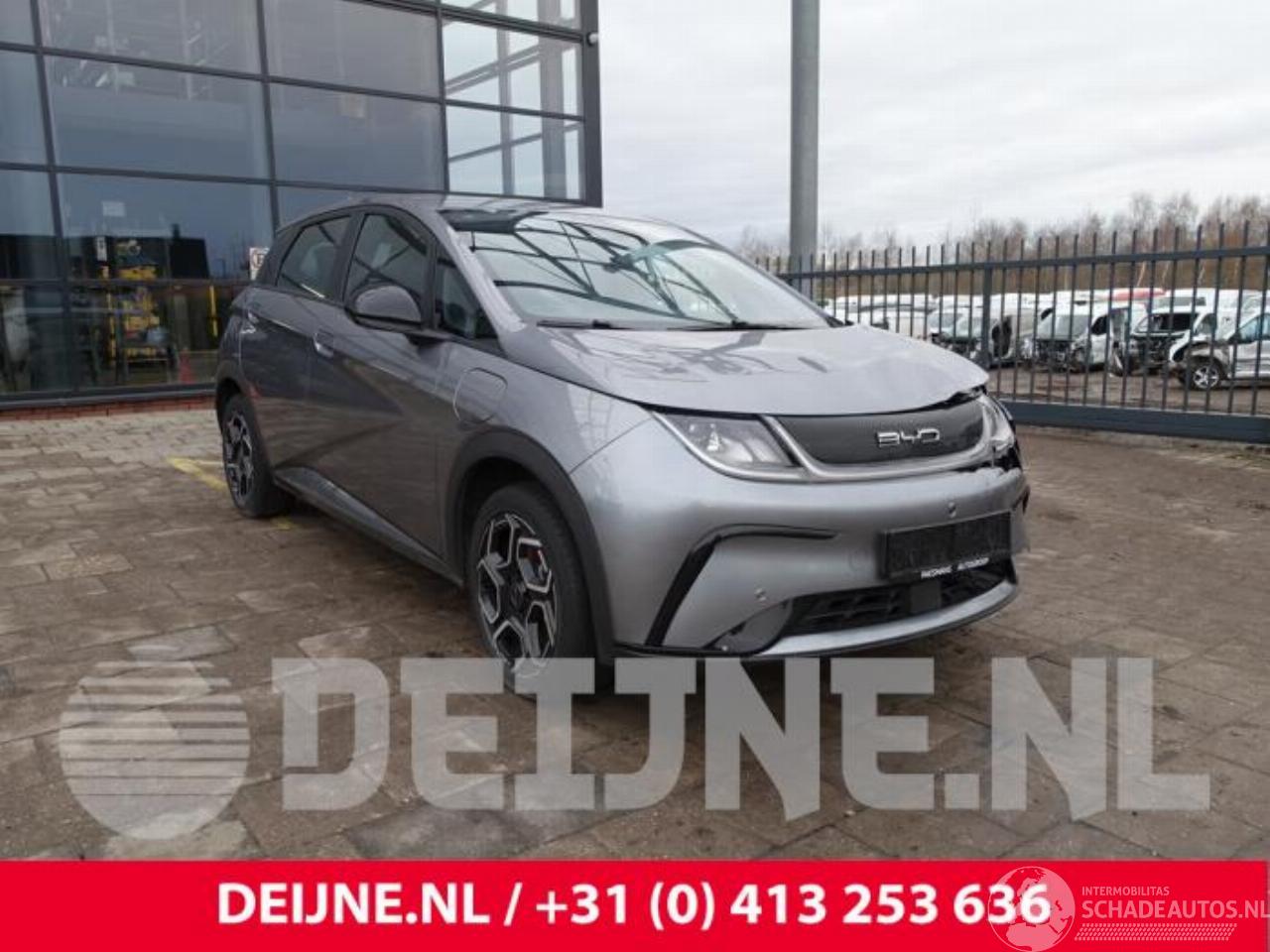 BYD Dolphin Dolphin, Hatchback 5-drs, 2021 60,4 kWh